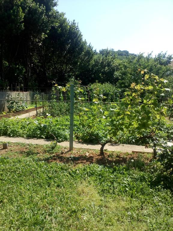 Jedro Apartmani Herceg Novi Exteriér fotografie